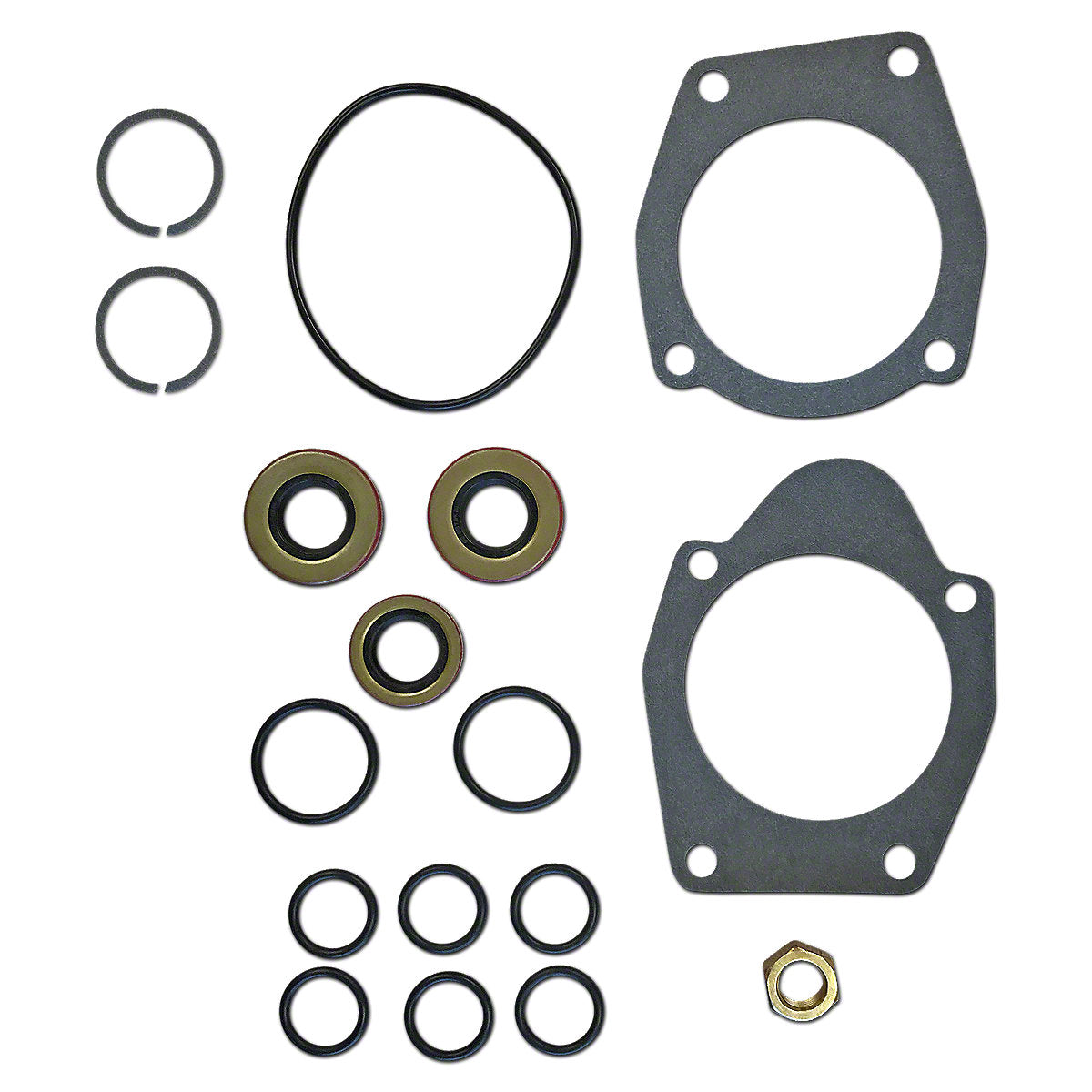 Hydraulic Pump Seal Gasket Set fits International Tractor | Replaces 363783R93