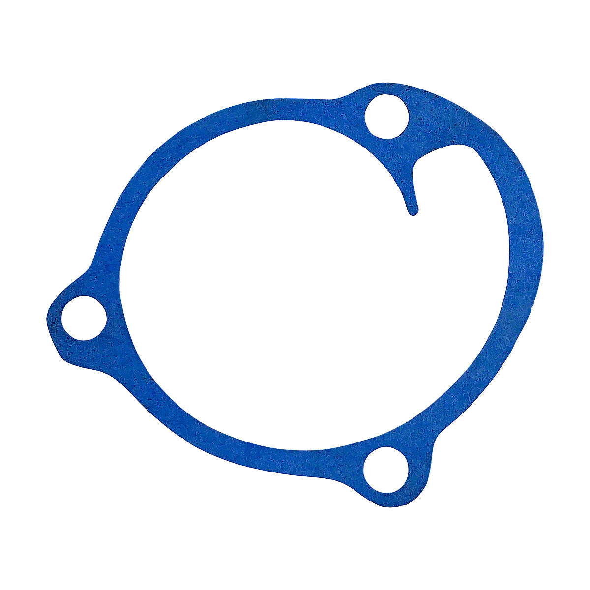 Water Pump Gasket fits John Deere Tractor | Replaces A4281R