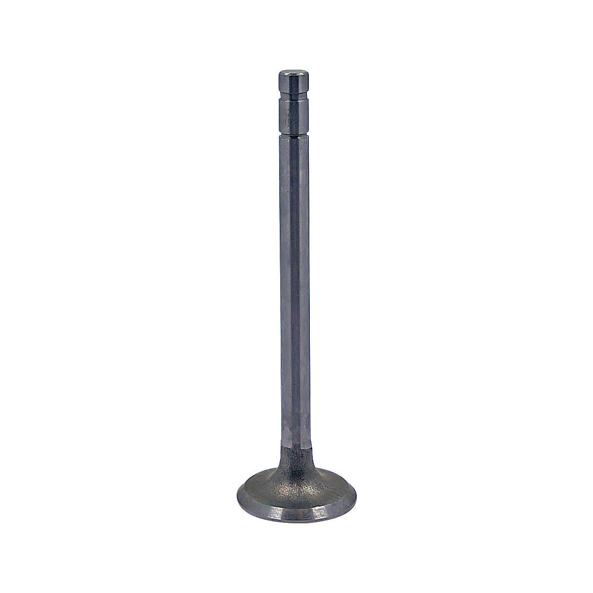 42024D Intake Valve only -Fits  International  Tractor